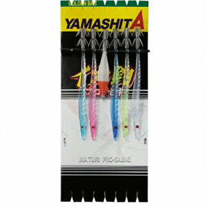 }A CJރvTrL SKO 11-2 6{ d| DpZbg