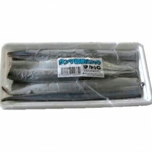 ͂Ȃ܂ T}̐ؐgO a Ⓚ