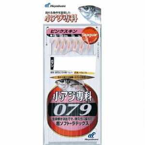 nuT HS079 AWȃXL92 d| ^TrLyH̑労ӍՁz