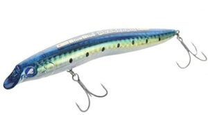 u[u[ XJ[ibV 120F A[ V[oXEq ̑̃vO