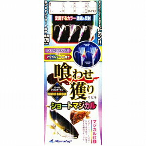 ܂ӂ D-193 킹lS}WJ SS8 d| DpZbgyH̑労ӍՁz