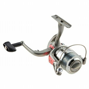 NtXs CF4000