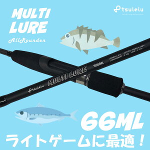 tsulelu c CgQ[働bh}`A[AWo 66ML }bgubN  A[@t[X^C