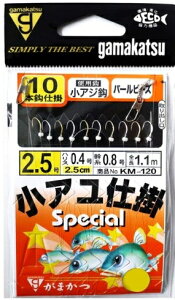 ܂ AAW10Pr[Y gN d| ^TrLyH̑労ӍՁz