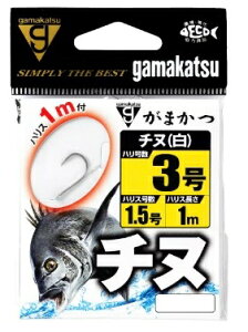 ܂ t `k 1m  d| j Eg~yH̑労ӍՁz