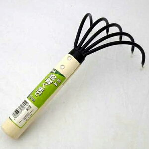 G[ EҌF15cm  p W[ pi