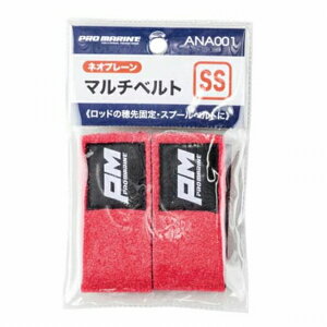 lc }`xgSS ANA001  [ [vyH̑労ӍՁz