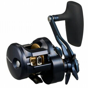 _C 25SALTIGA 300HL [ WMOp