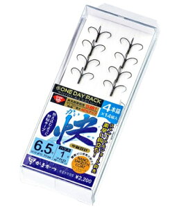 ܂ A189 OP GH V2(im)4{ d| p Fނ j