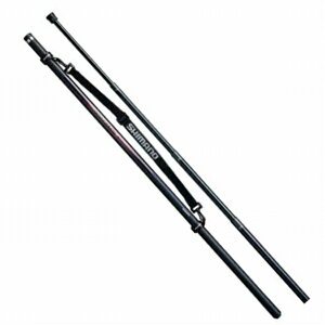 V}m ADVANCE ISO ʖ400  AEgKChyH̑労ӍՁz