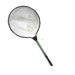 R[ R[ Cg o[NA[lbg S   XJErN