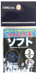 TOHO M PCʃ\tg d| W r[Y