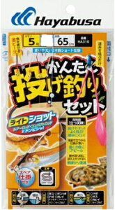 nuT 񂽂񓊂ނZbgHA310 d| pZbgyH̑労ӍՁz