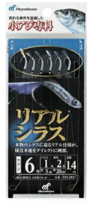 nuT HS201AVX d| ^TrL y pZ[z