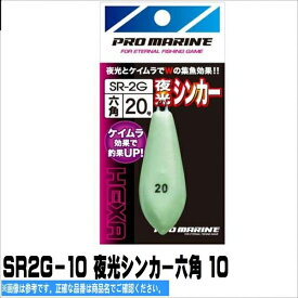 浜田商会 SR2G-10 夜光シンカー六角 10 仕掛 オモリ 船