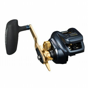 ダイワ ティエラLJ IC300H リール ジギング用両軸【秋の大感謝祭】