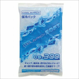 AXe[W N[CpbN \tg300  [ N[[pp[c