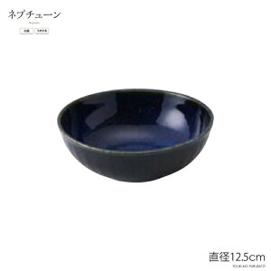 ネプチューンRK40小鉢 直径12.5cm 紺色 ネイビー 軽量 うすかる ボール サラダ ボウル 美濃焼 国産 陶器のふる里 trys亜