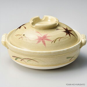 _N[|zzI^݂[7 a22cm y a gt { a x[W KX Y ̂ӂ闢 trysX