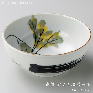 _N[|zzI^t 5.0{[ a16cm Ju   ǂԂ Ԃ aH ϕ   {E {[ H Z Y ag  ̂ӂ闢 stock