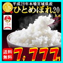 28年産 宮城県産 ひとめぼれ 20kg！玄米,5分,7分,精白米(精米時重量約1割減)内閣府後援地方創生賞受賞店！【米】 ランキングお取り寄せ