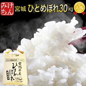 令和元年 宮城県産 ひとめぼれ 30kg 玄米、5分、7分、精白米(精米時重量約1割減) 【米】【dp】【asu】