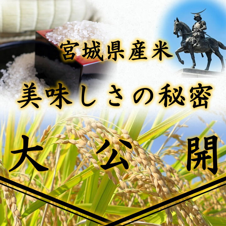 楽天市場】令和7年産 本場 宮城県産 まなむすめ 30kg 玄米 5分づき 7分 