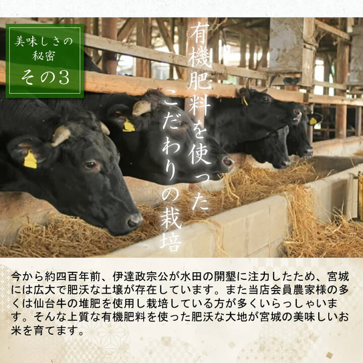 楽天市場】令和7年産 本場 宮城県産 まなむすめ 30kg 玄米 5分づき 7分 