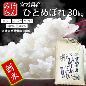 V ߘa7NY 3cƓȓo { {錧Y ЂƂ߂ڂ 30kg  5Â 7Â (Ďdʖ1)  y qg{  ͂   Yn ď 
