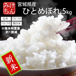 V ߘa7NY { {錧Y ЂƂ߂ڂ 5kg  5Â 7Â  (Ďdʖ1)  y qg{  ͂   Yn ď   ߁z