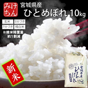 V ߘa7NY 3cƓȓo { {錧Y ЂƂ߂ڂ 10kg  5Â 7Â  (Ďdʖ1)  y qg{  ͂   Yn ď 
