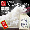 スーパーセール 新米 令和7年産 本場 宮城県産 ひとめぼれ 30kg 玄米 5分づき 7分づき 精白米 (精米時重量約1割減) 送料無料 【白米 ヒトメボレ お米 ごはん ご飯 精米 産地直送 米処 美味しい おこめ こめ 楽天スーパーSALE 楽天スーパーセール】
