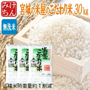 ߘa6NYē ĉ̂30kg(Ďdʖ1)   Hd {錧Y5 Y5 yāzyāzyzyuhāz  R ͂ 