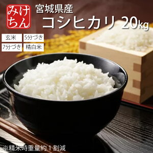 ߘa6NY {錧Y RVqJ 20kg  5 7 (Ďdʖ1) y   R ͂   Yn Y ď    { Ђz