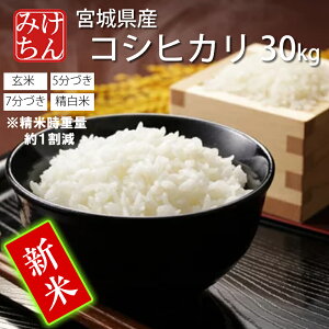 V ߘa7NY { {錧Y RVqJ 30kg  5Â 7Â  (Ďdʖ127kg)  y Ђ  ͂   Yn ď   