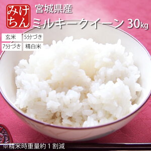 ߘa6NY {錧Y~L[NC[30kg  5 7  (Ďdʖ1) yāzy  R ͂   Yn uh Y ď    I {