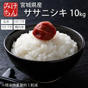 令和6年産 宮城県産 ササニシキ 10kg【米】 玄米 5分 7分 精白米 (精米時重量約1割減) 白米 お米 コメ ごはん ご飯 精米 産地直送 ブランド米 国内産 食品 お取り寄せ 日本産 米処 美味しい おこ