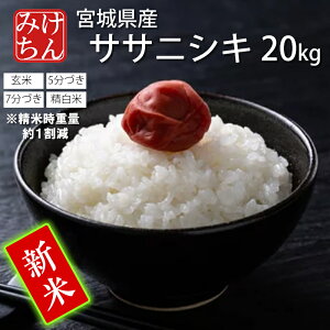 V ߘa7NY { {錧Y TTjVL 20kg  5Â 7Â  (Ďdʖ118kg)  y ɂ  ͂   Yn ď   