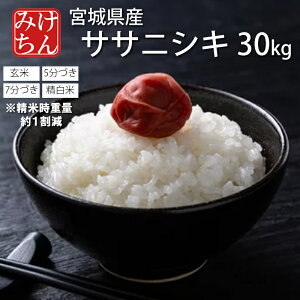 玄米 ササニシキ 30Kg」の人気商品一覧 | 安い商品を通販サイトから 