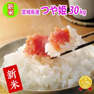宮城県産 つや姫の人気商品 通販 価格比較 価格 Com