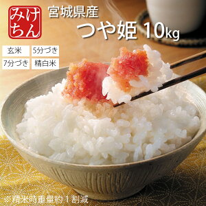 ߘa6NY {錧Y P 10kg  5 7 (Ďdʖ1) y Ђ  ͂   Yn uh Hi ď    z