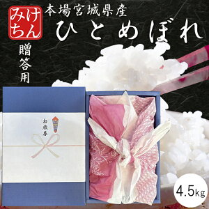 V ߘa7NY { {錧Y ЂƂ߂ڂ 4.5kg p  4.5kg y qg{  ͂   Mtg 蕨  Ε v[g Yn ď    z
