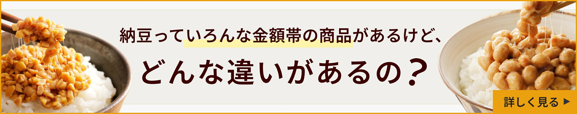 コンテンツページhttps://www.kazenami.live/toukyounattou/contents/contents01/