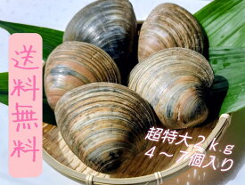 ★特別価格★【送料無料】超特大‼️ ホンビノス貝2kg （4個〜6個入）幻サイズ‼️漁師直送！新鮮！ふっくらと肉厚でおいしいダシがたっぷり！バーベキューに！酒蒸しに！　※写真の個数とは異なります。