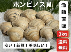 3kg【送料無料】漁師直送！だから新鮮！　ホンビノス貝　 ふっくらと肉厚でおいしいダシがたっぷり！バーベキューに！酒蒸しに！