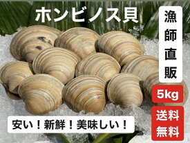 5kg【送料無料】漁師直送！だから新鮮！　ホンビノス貝　 ふっくらと肉厚でおいしいダシがたっぷり！バーベキューに！酒蒸しに！
