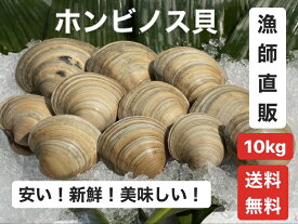 楽天市場 ホンビノス貝の通販 楽天市場 ホンビノス貝の通販