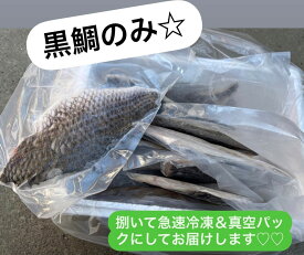 【冷凍】黒鯛　切り身　1kg入り