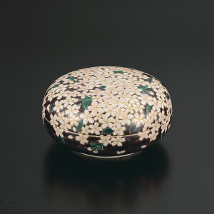 J  t͗l/{{恃  lC Mtg 蕨 j/j/j/ ˔