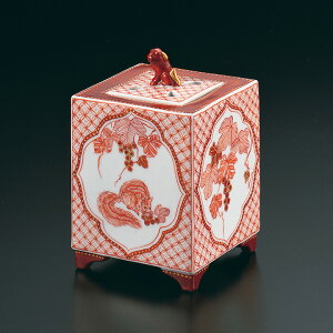 J 4F 蕶/q F  lC Mtg 蕨 j/j/j/ ˔Rʂ